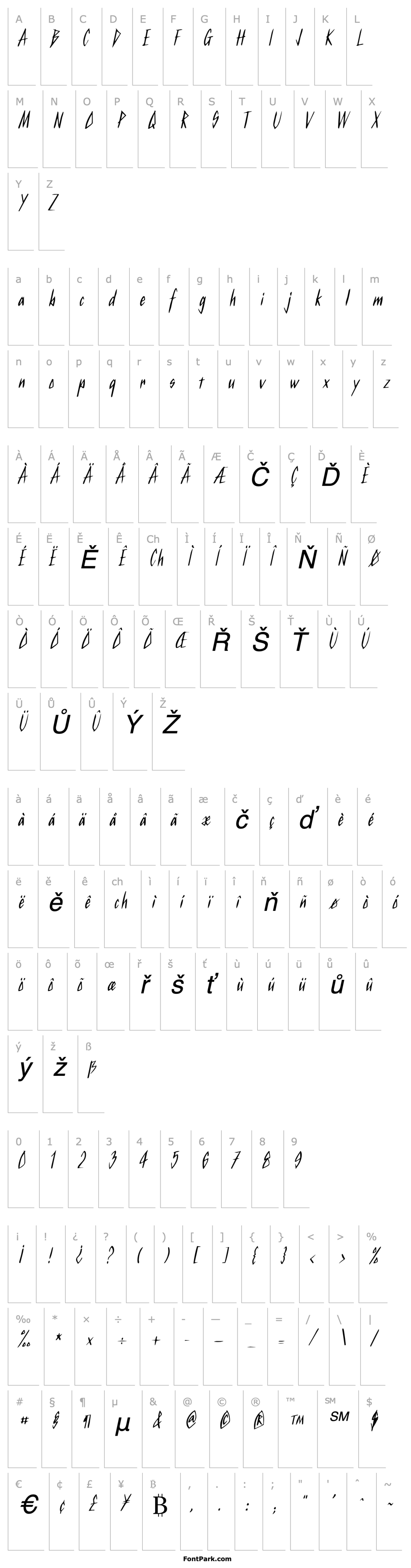 Přehled Kurtz Italic