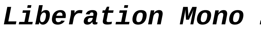 Font Liberation Mono Bold Italic by Steve Matteson