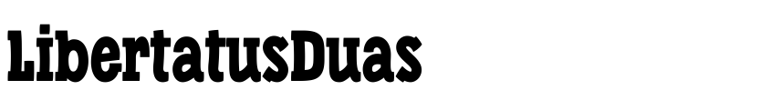 Preview LibertatusDuas