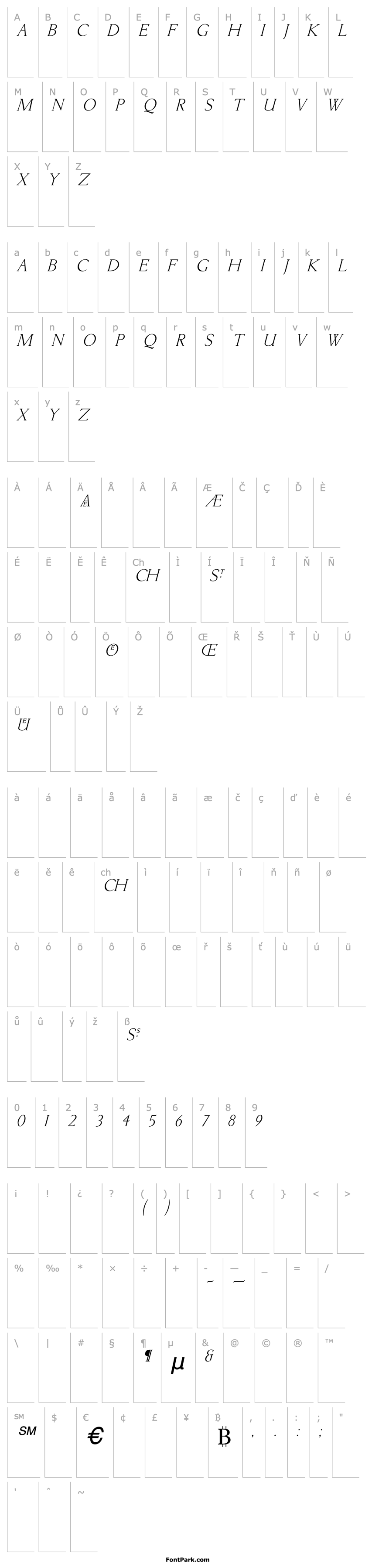 Overview Lichtner Italic