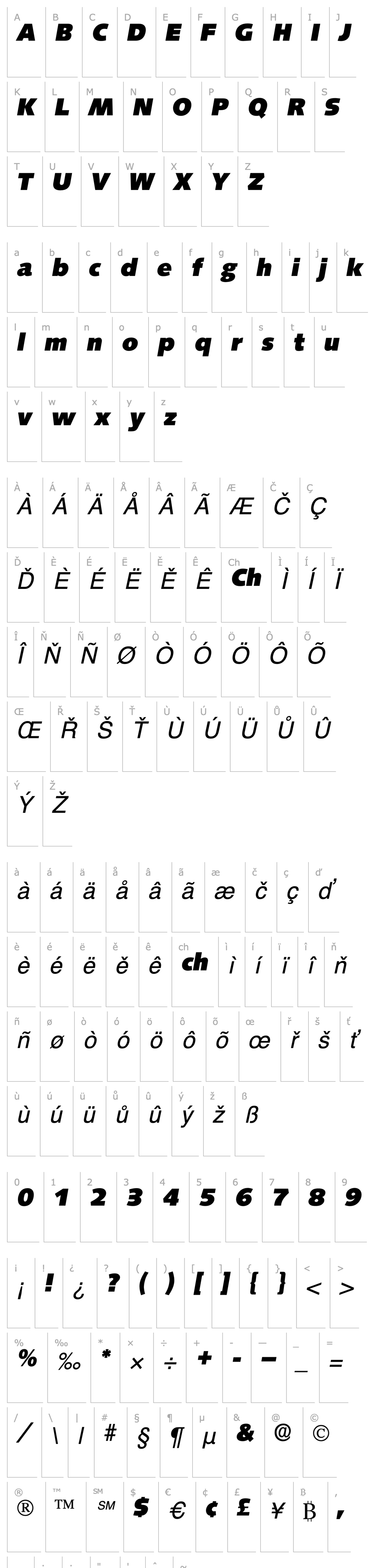 Přehled Lansette Display SSi Italic