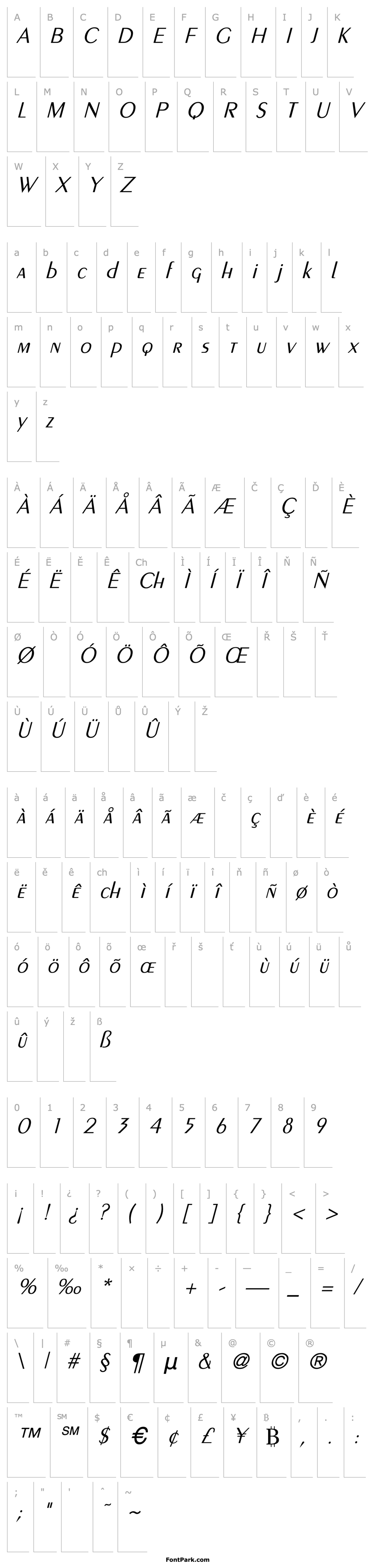 Přehled Larwell-Light Italic