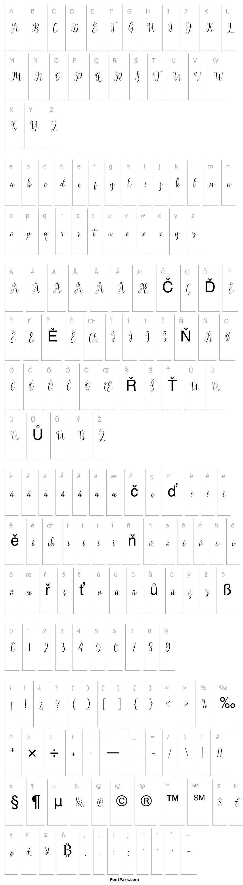 Overview LatashaScript