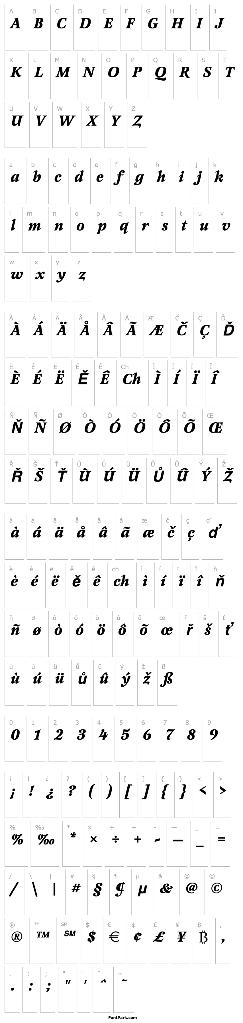 Přehled Latienne_Becker_Bold_Italic