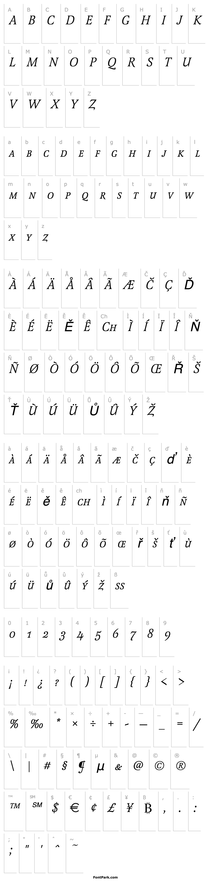 Overview Latienne_Becker_Caps_Italic