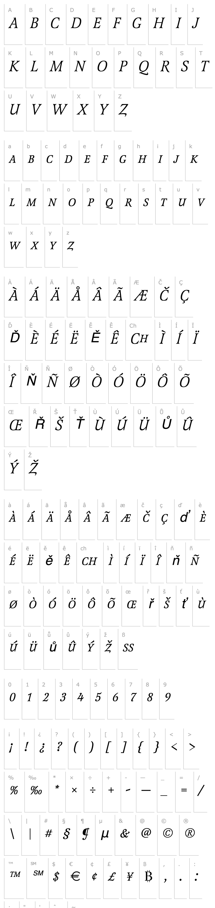 Přehled Latienne_Becker_Discaps_Italic