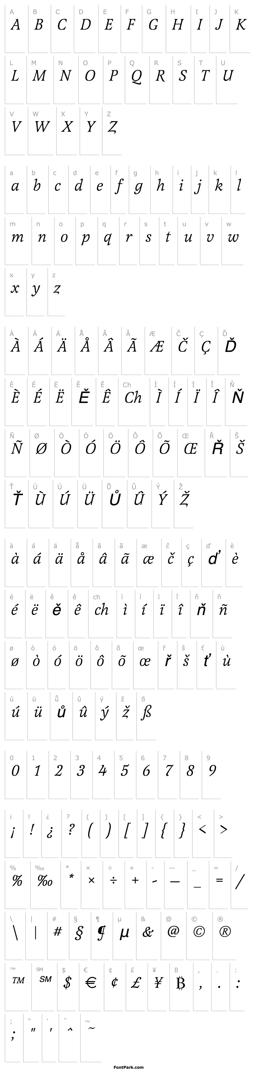 Přehled Latienne_Becker_Italic