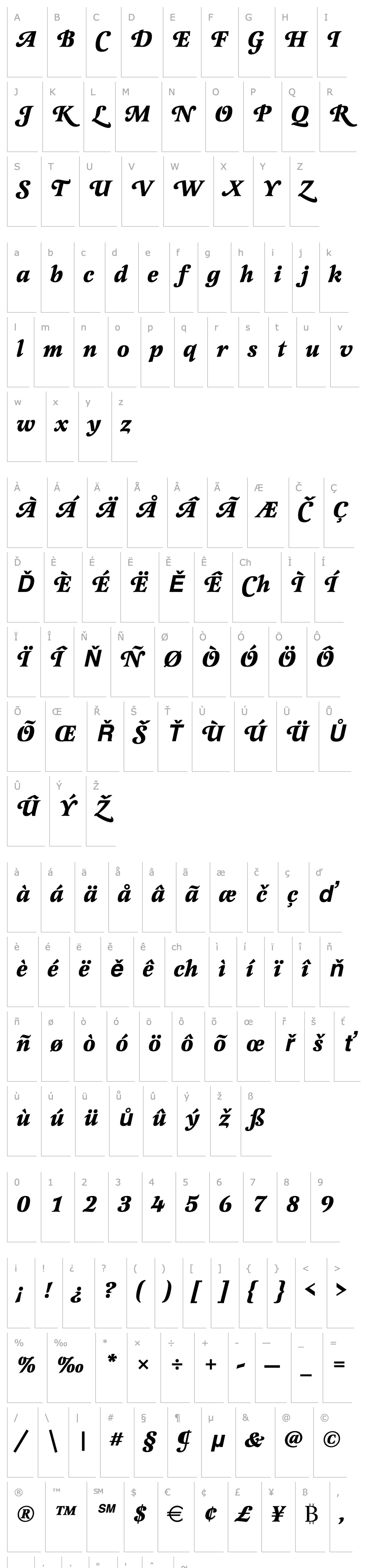 Přehled Latienne_Becker_Swash_Alt_Bold_Italic