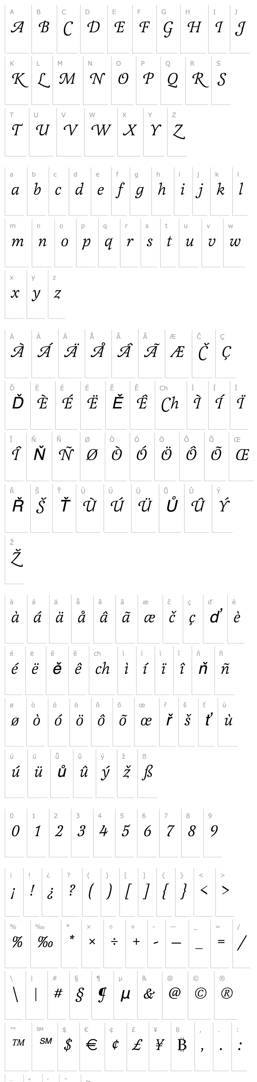 Přehled Latienne_Becker_Swash_Alt_Italic