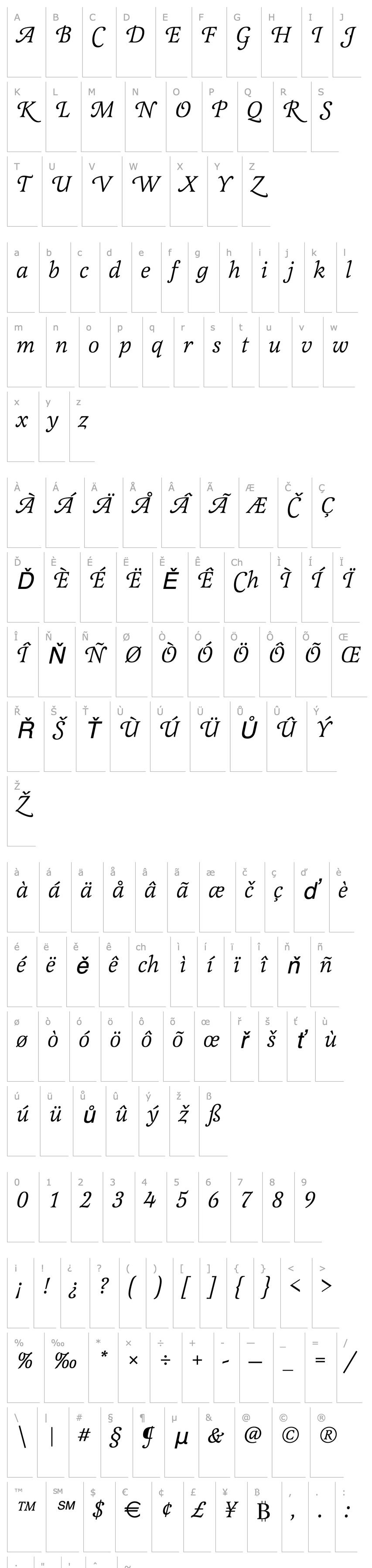 Přehled Latienne_Becker_Swash_Italic