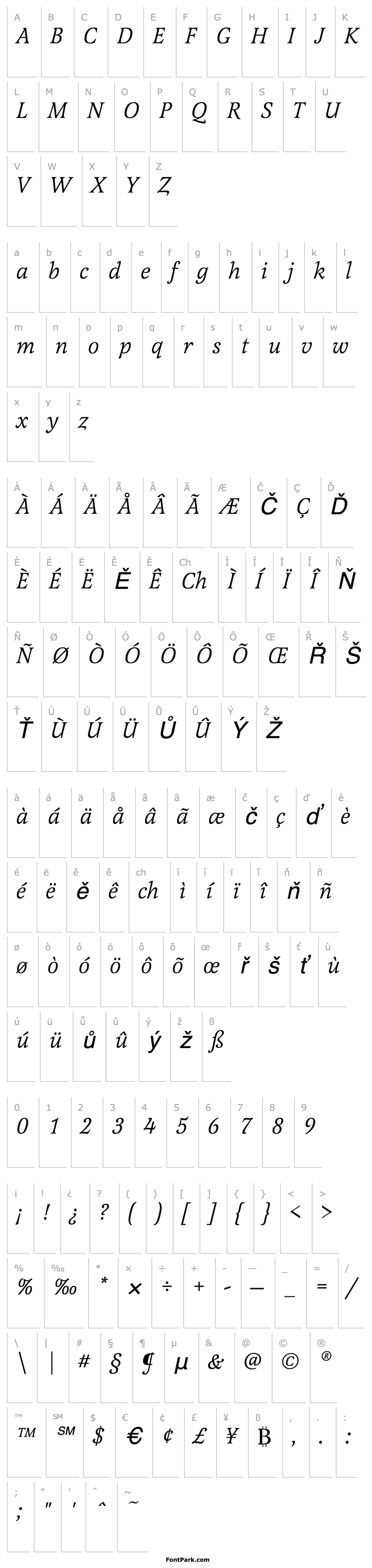 Přehled LatienneEF-Italic