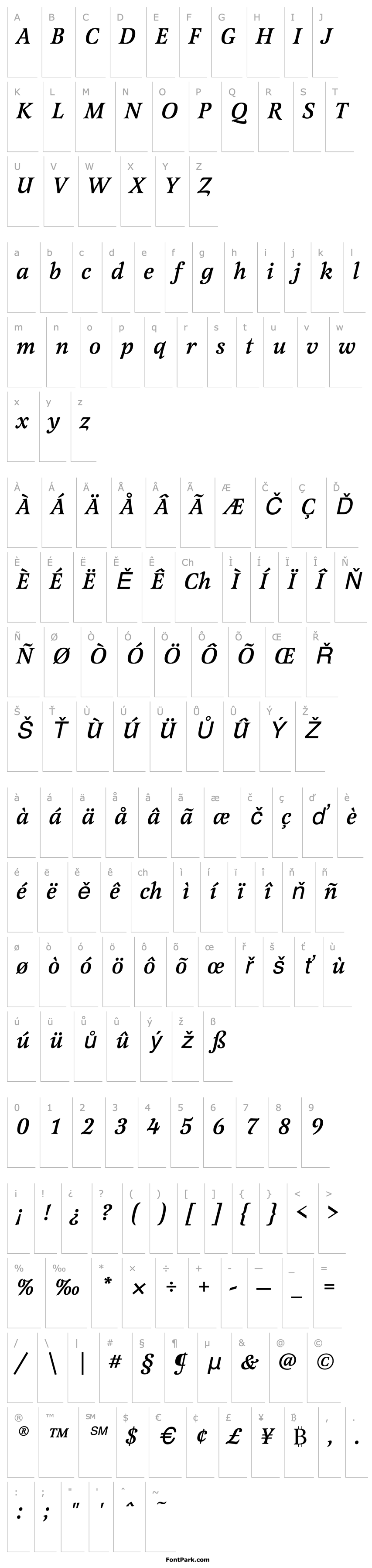 Přehled LatienneEF-MediumItalic