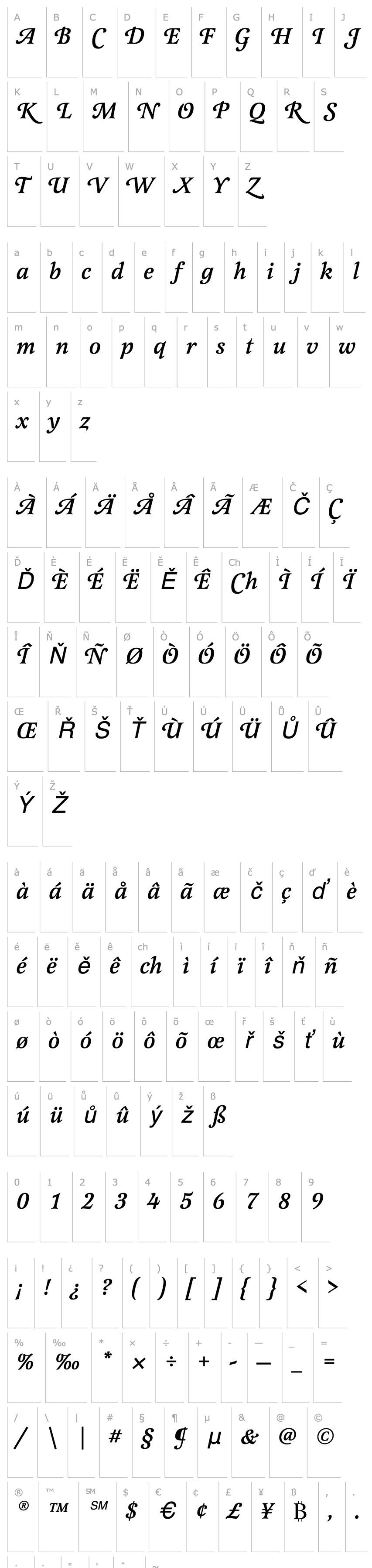 Overview LatienneEF-MediumItalicSwC