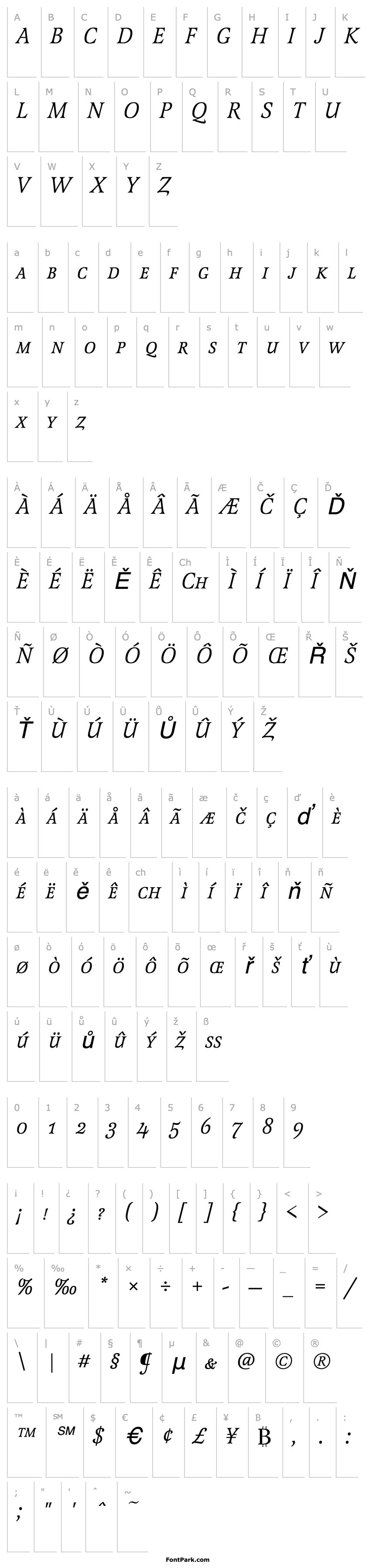 Přehled LatienneSCTReg Italic