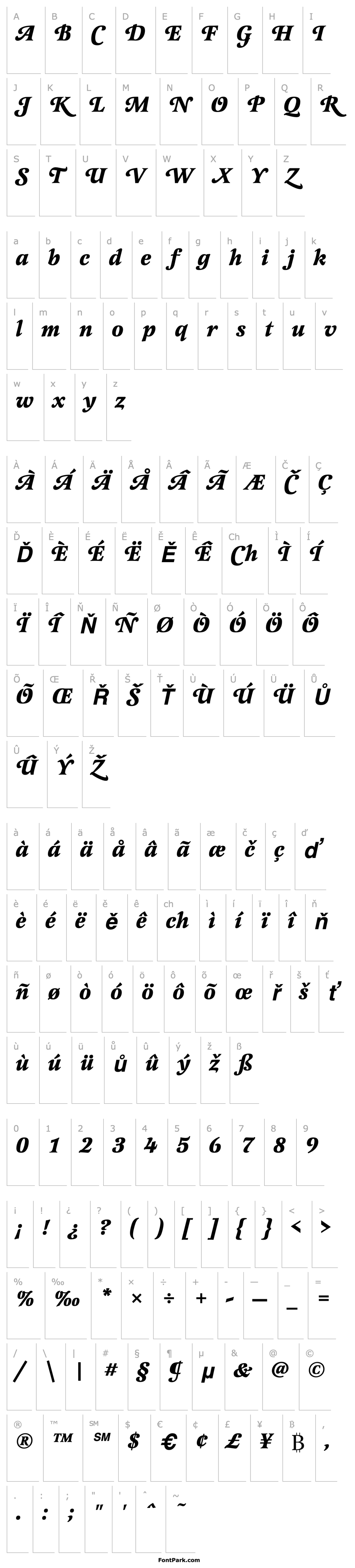 Overview LatienneSwaT Bold Italic