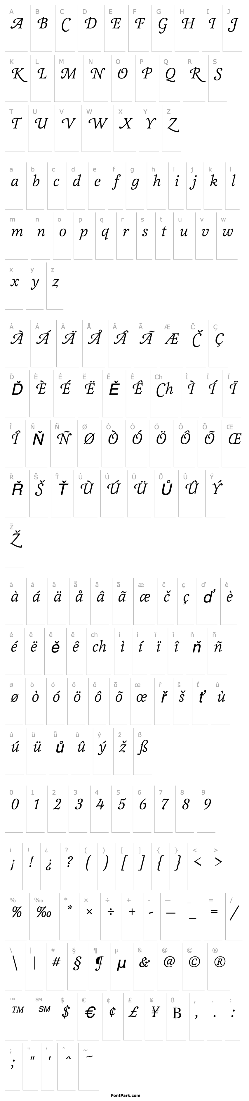 Přehled LatienneSwaT Italic