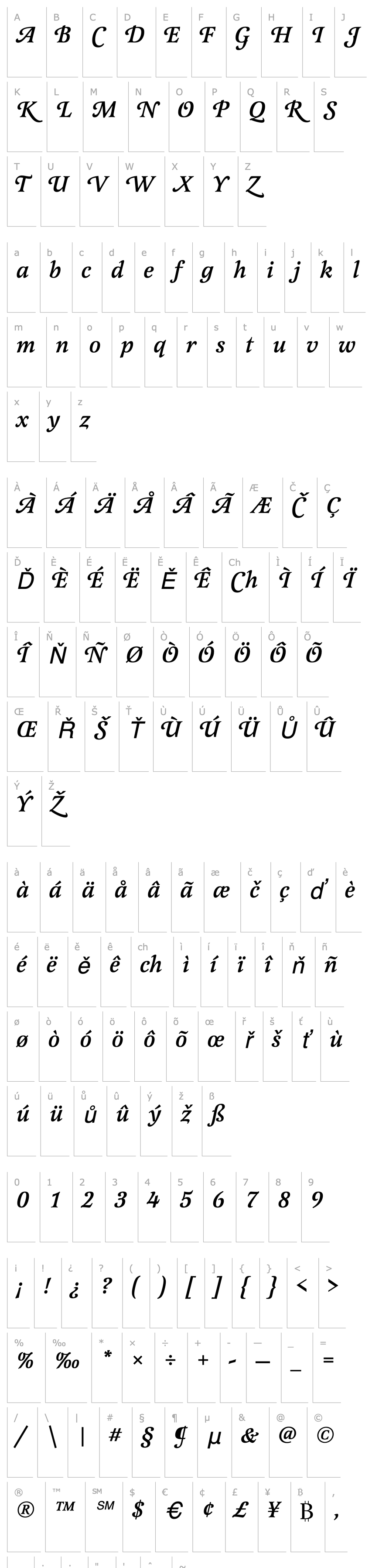 Overview LatienneSwaTMed Italic