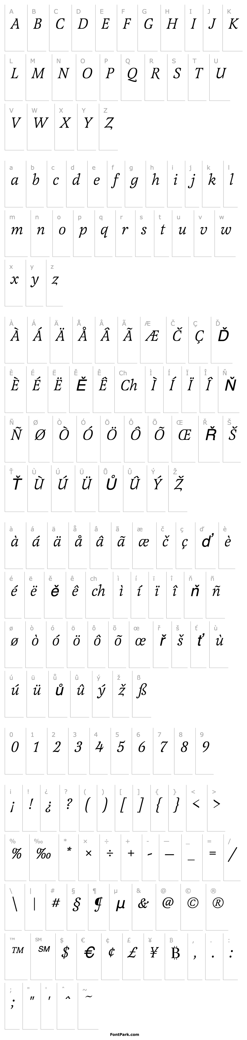 Přehled LatienneT Italic