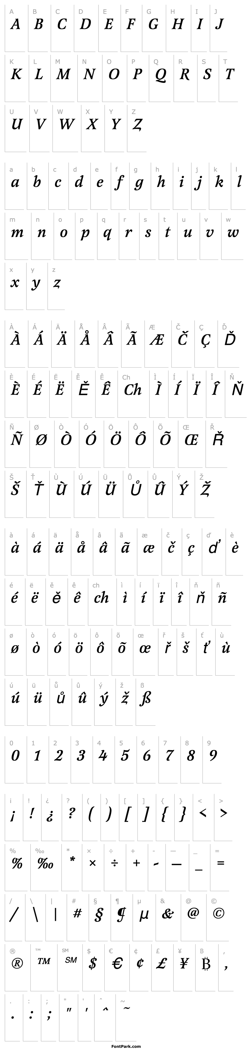 Overview LatienneTMed Italic