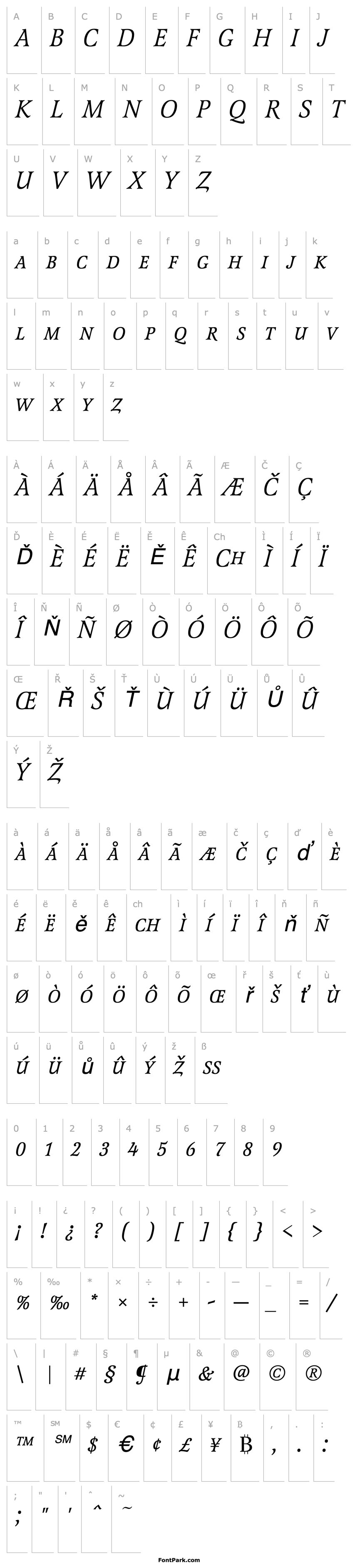 Přehled LatienneURWDCDReg Italic