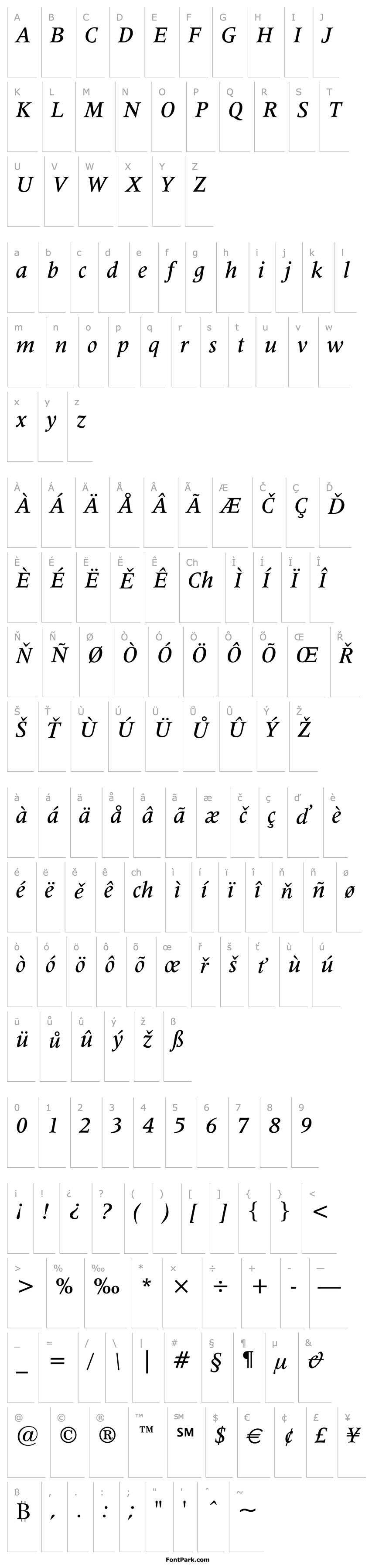 Overview Latin 725 Medium Italic BT