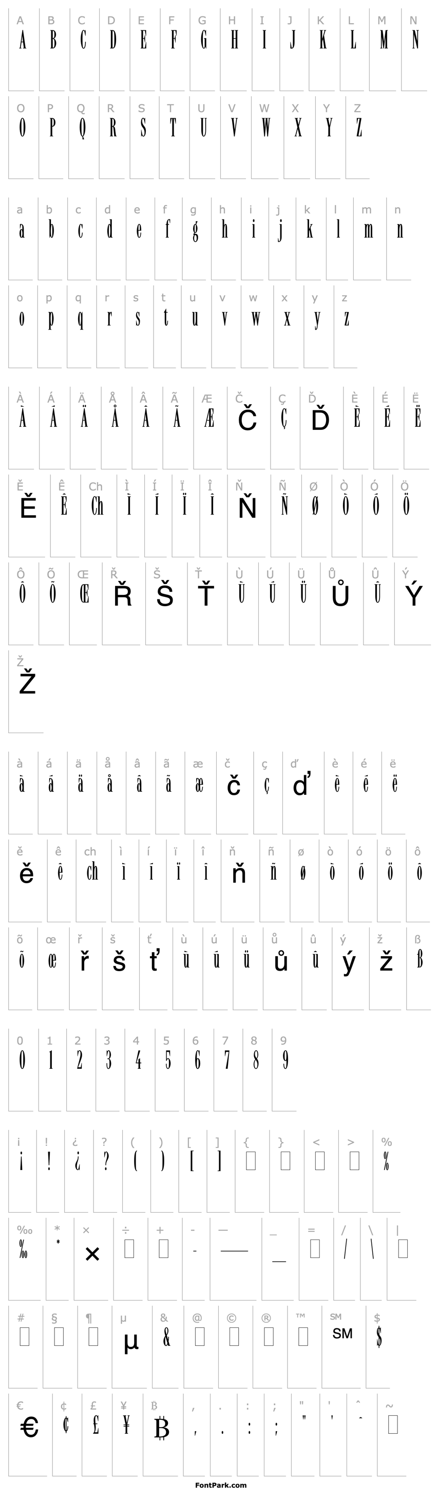 Overview LatinoElongatedPlain