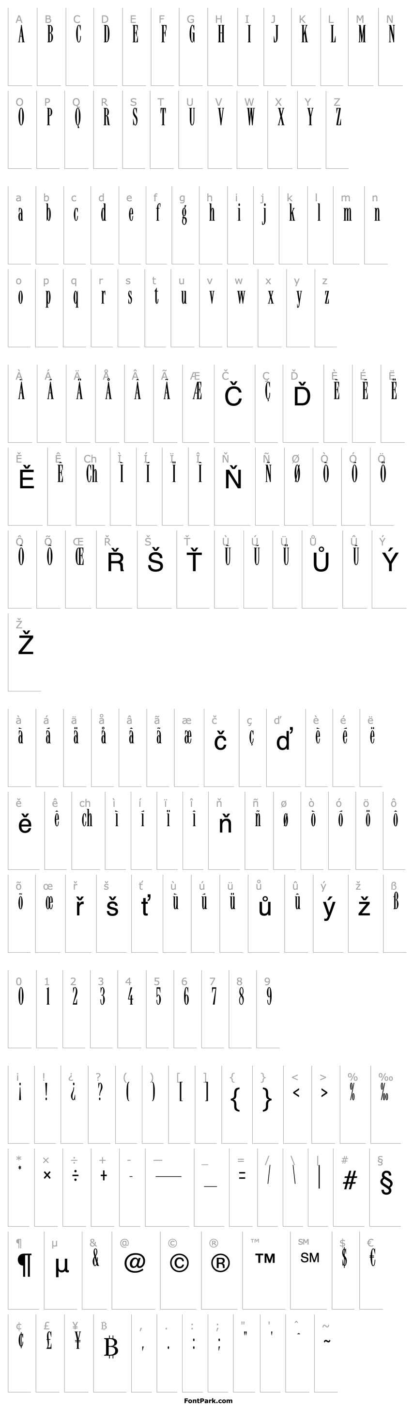 Overview LatinoElongatedStd