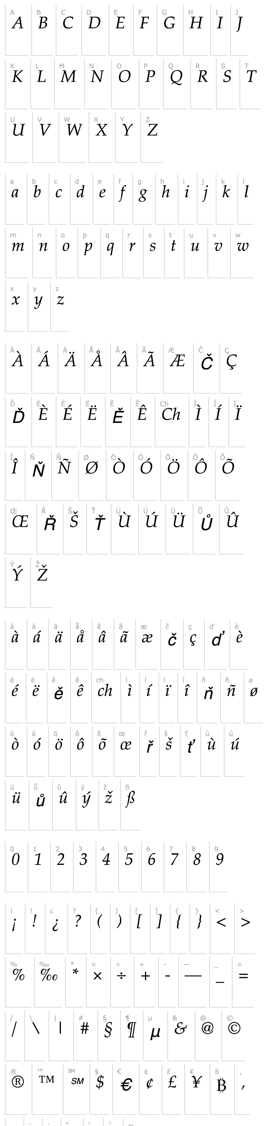 Přehled LatinoPalSH Italic