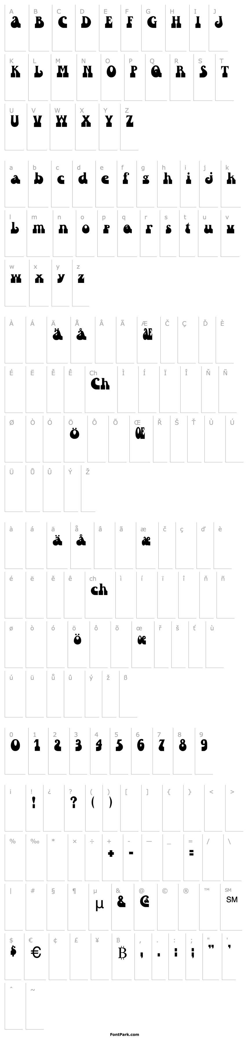 Overview LeadFoote