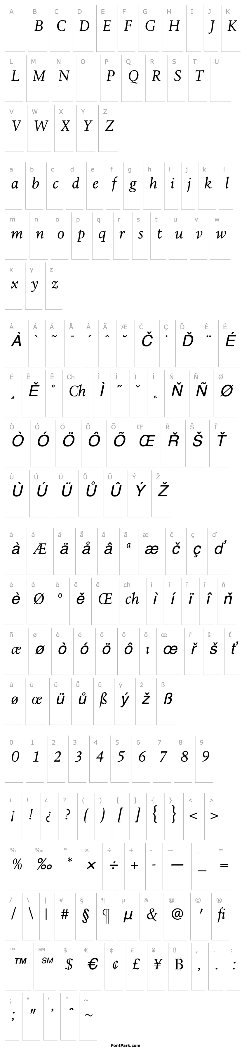 Overview LeightonLightItalic