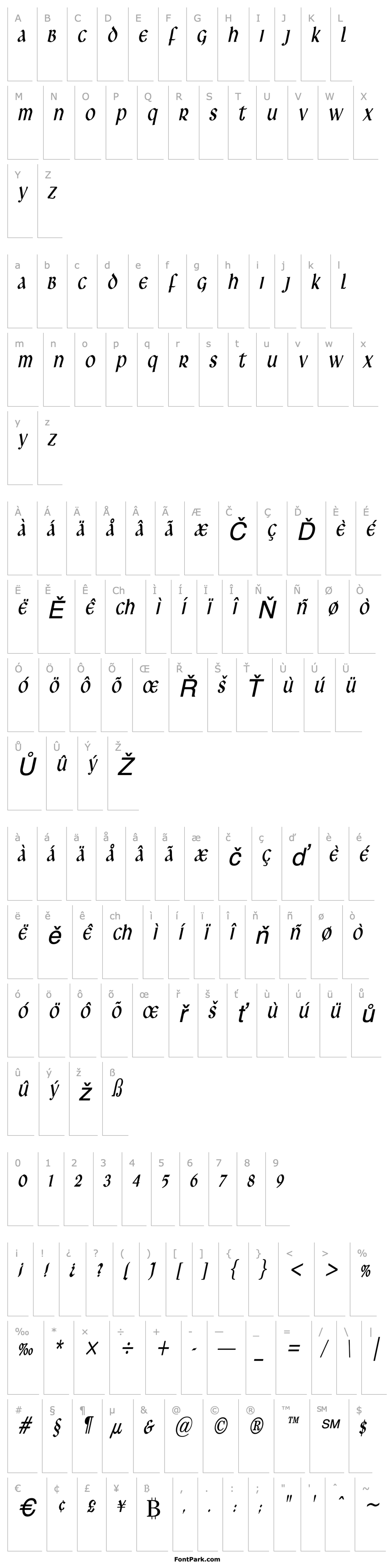 Overview Leo Thin Italic