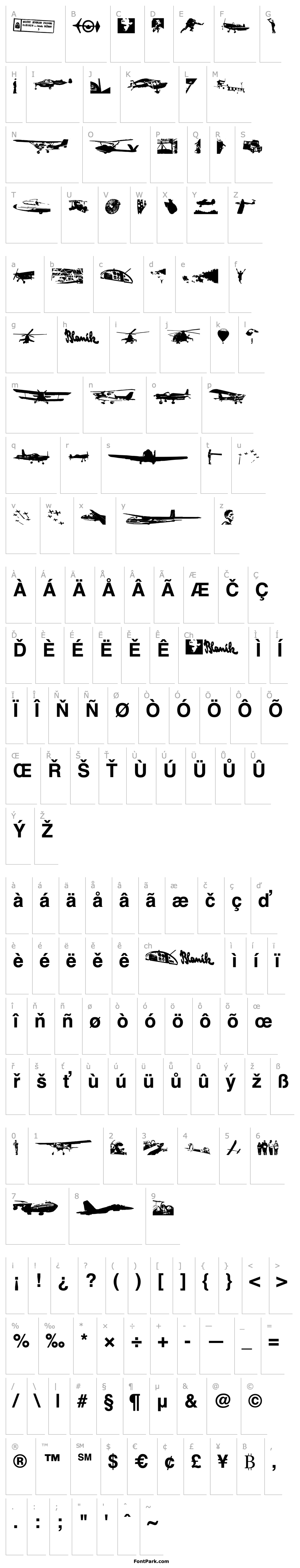 Overview letiskovy flashtrace