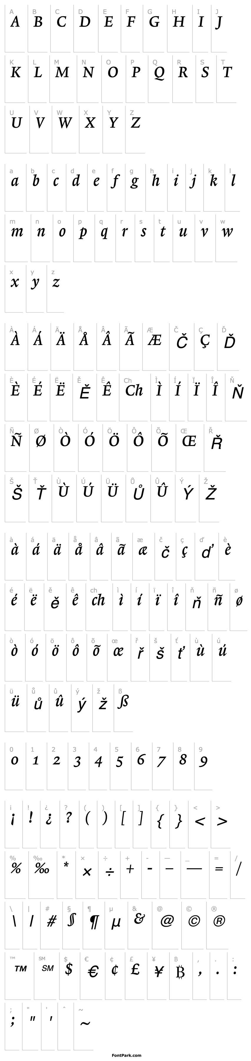 Přehled Lexicon No1 Italic B Med