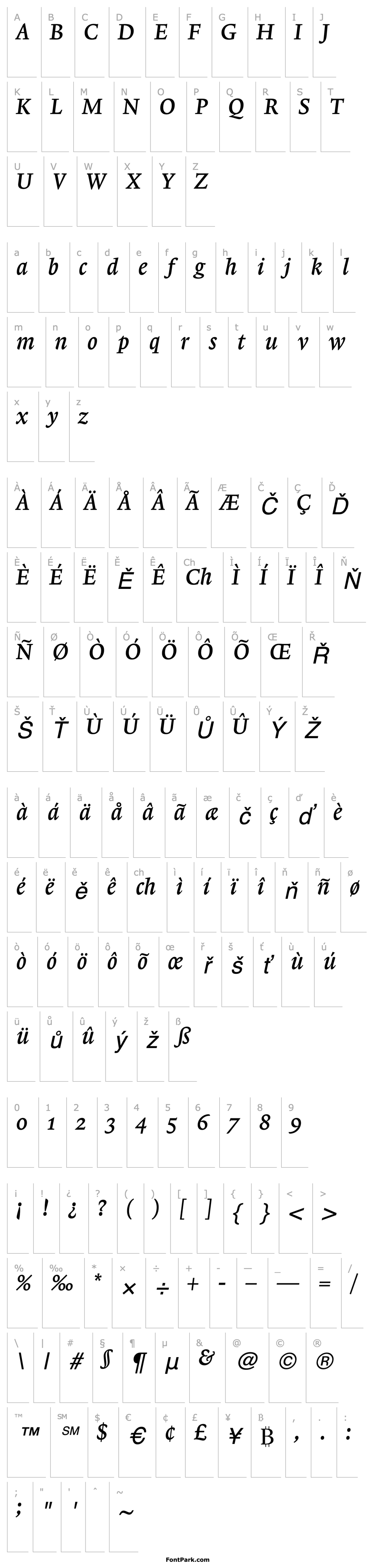 Přehled Lexicon No1 Italic B Txt