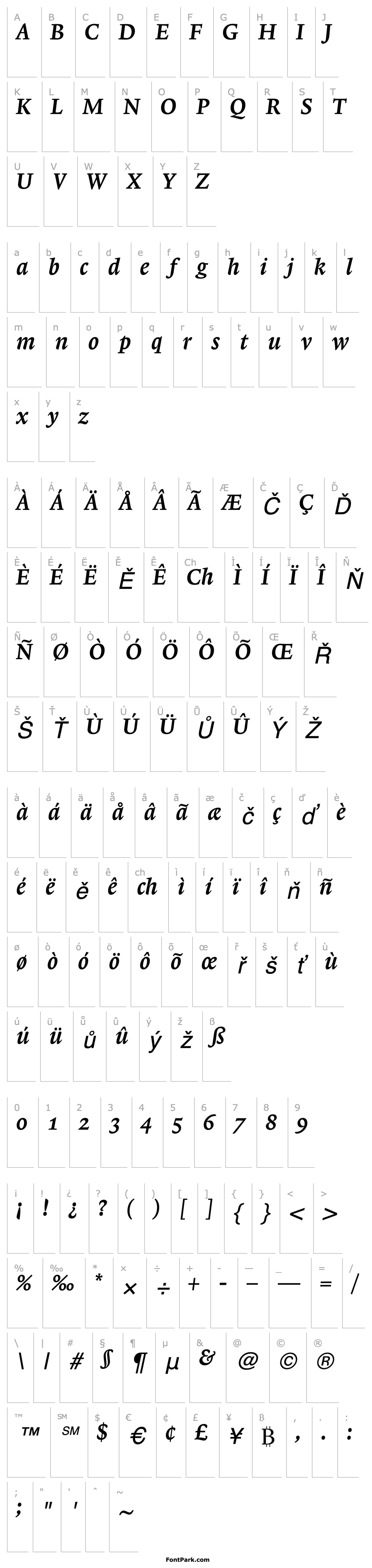 Overview Lexicon No1 Italic C Med