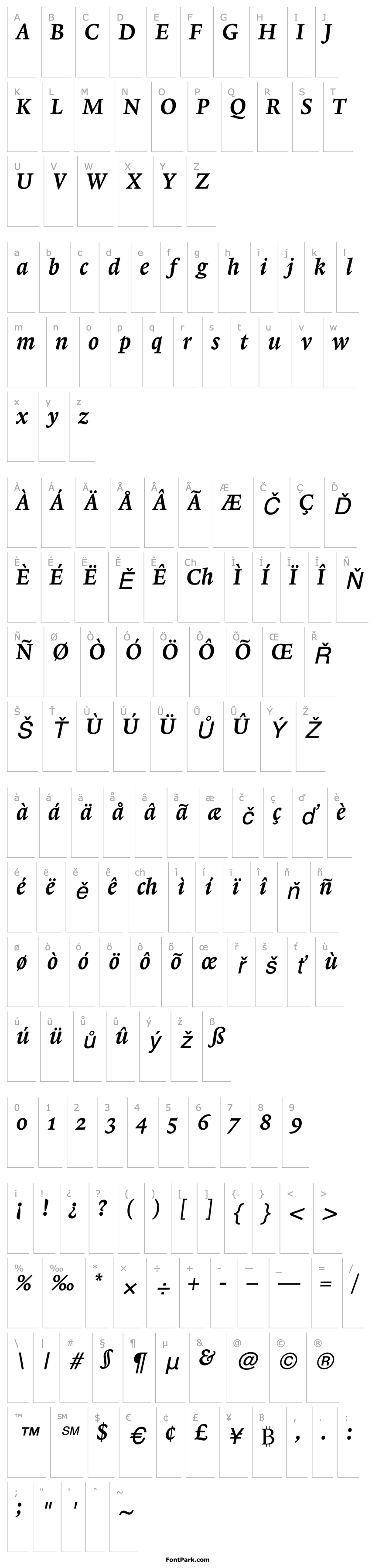 Přehled Lexicon No1 Italic C Txt