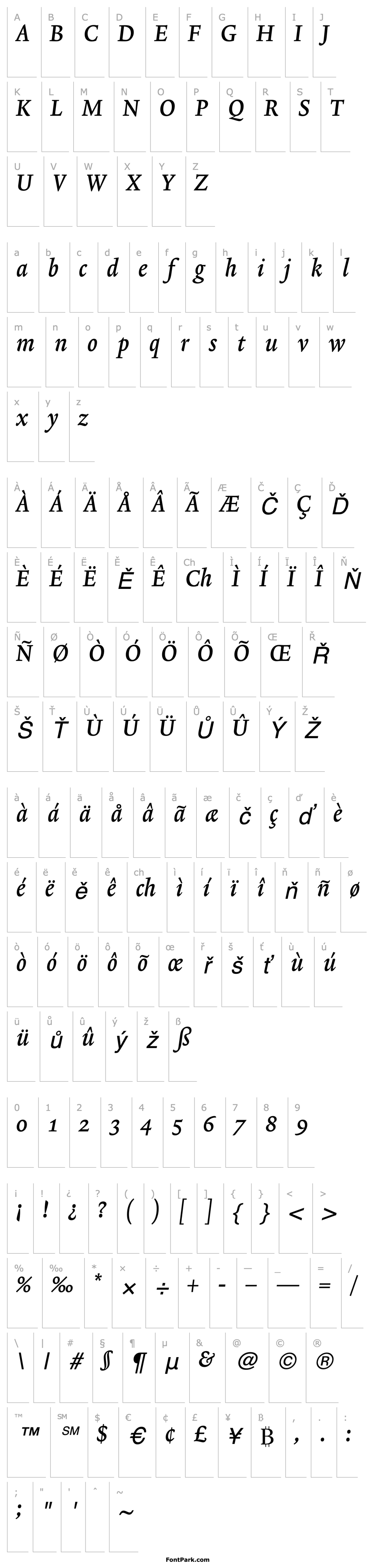 Přehled Lexicon No2 Italic B Med