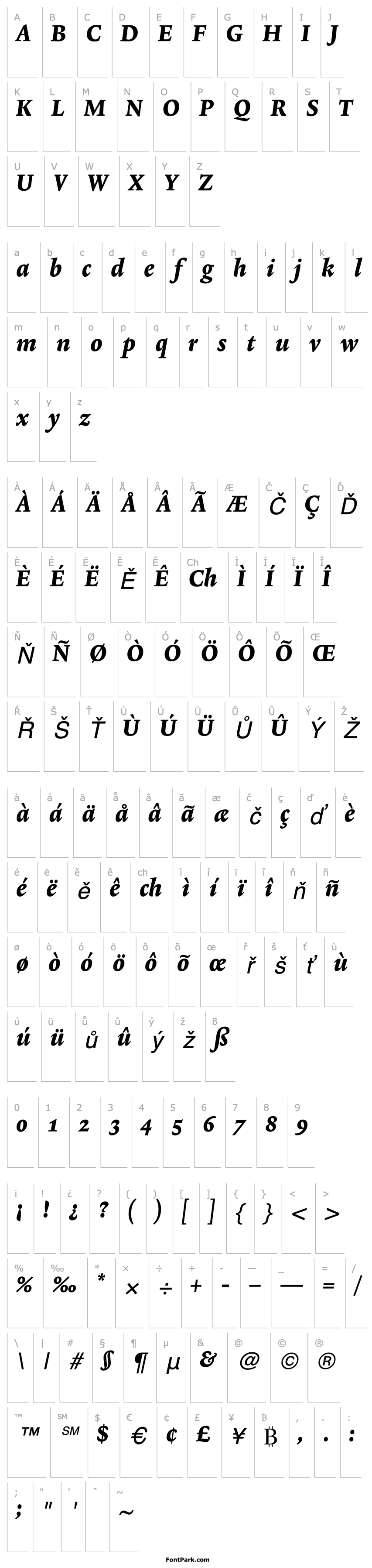 Overview Lexicon No2 Italic E Med