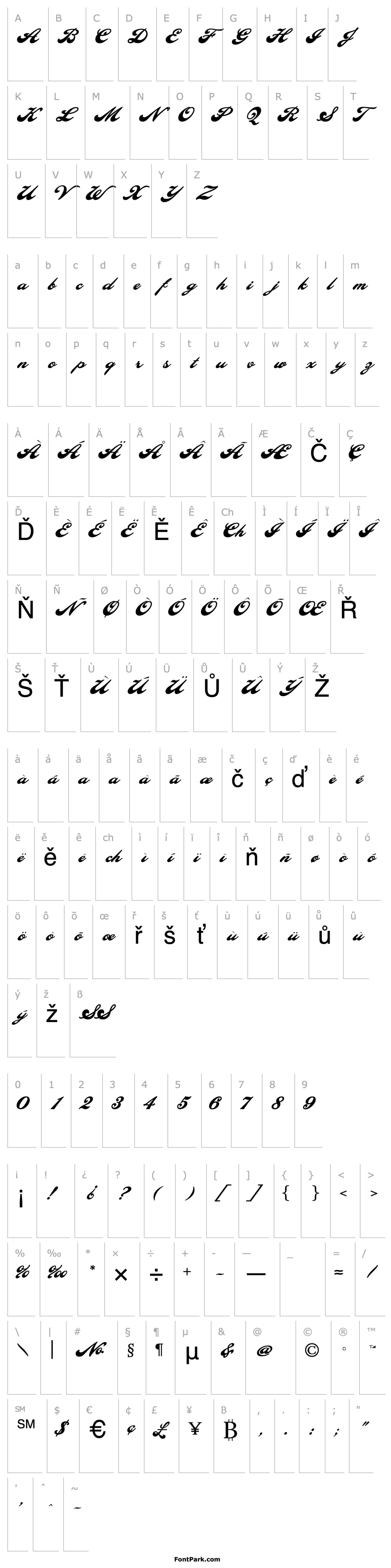 Overview LHF Ballpark Script