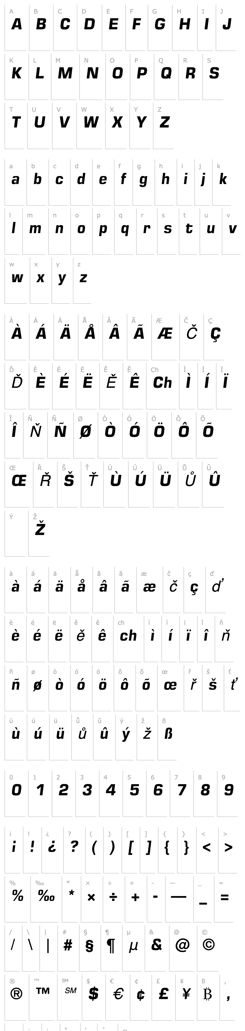 Overview LHF Stevens Percepta Bold Italic