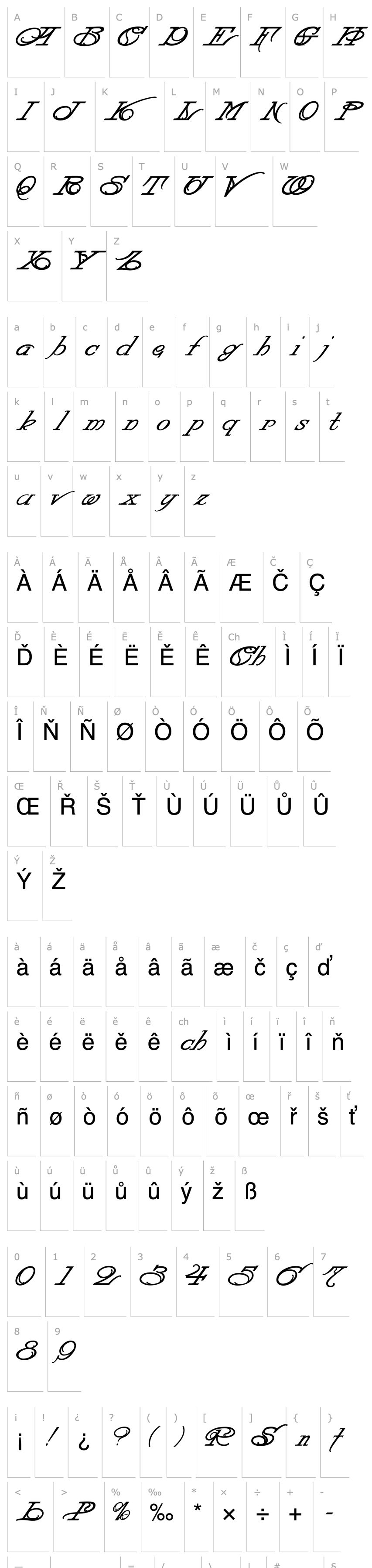 Overview LHF Strong Italic