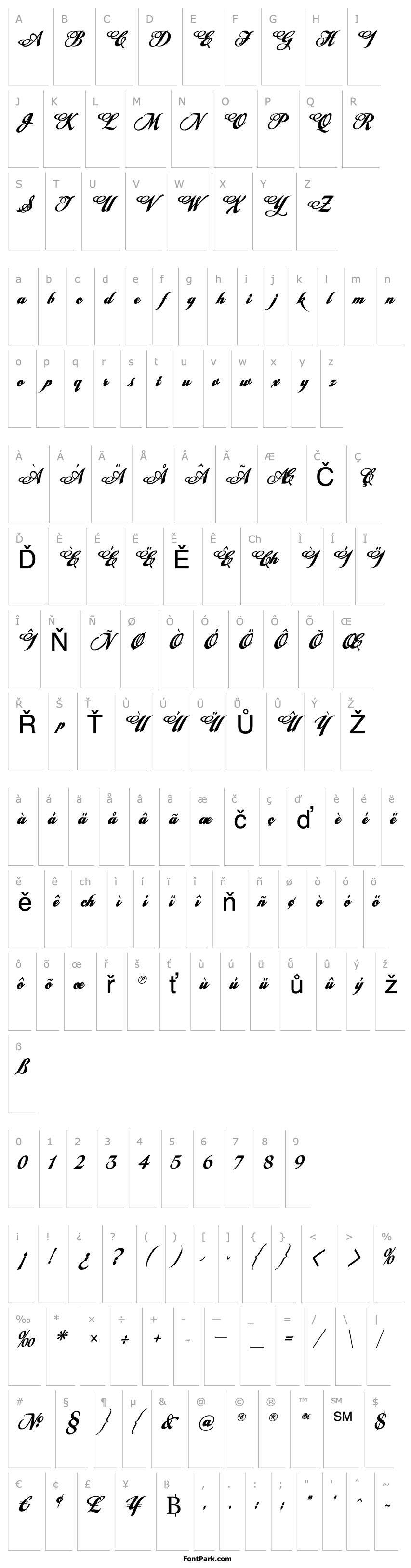 Přehled LHF Tideway Classic Script