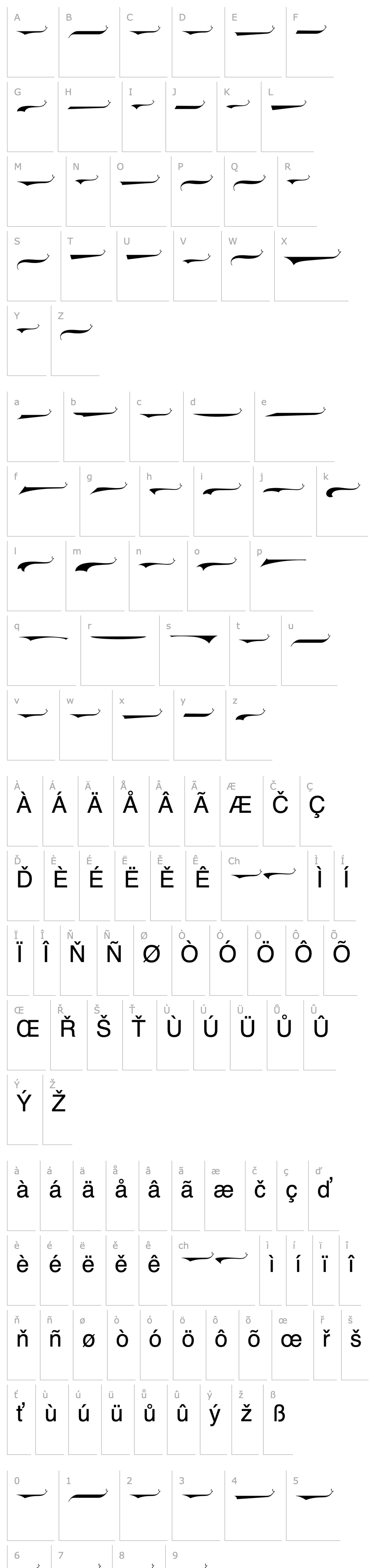 Overview LHFEphemera Swashes