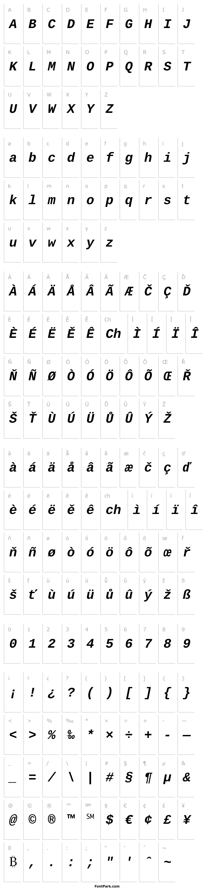 Overview Liberation Mono Bold Italic