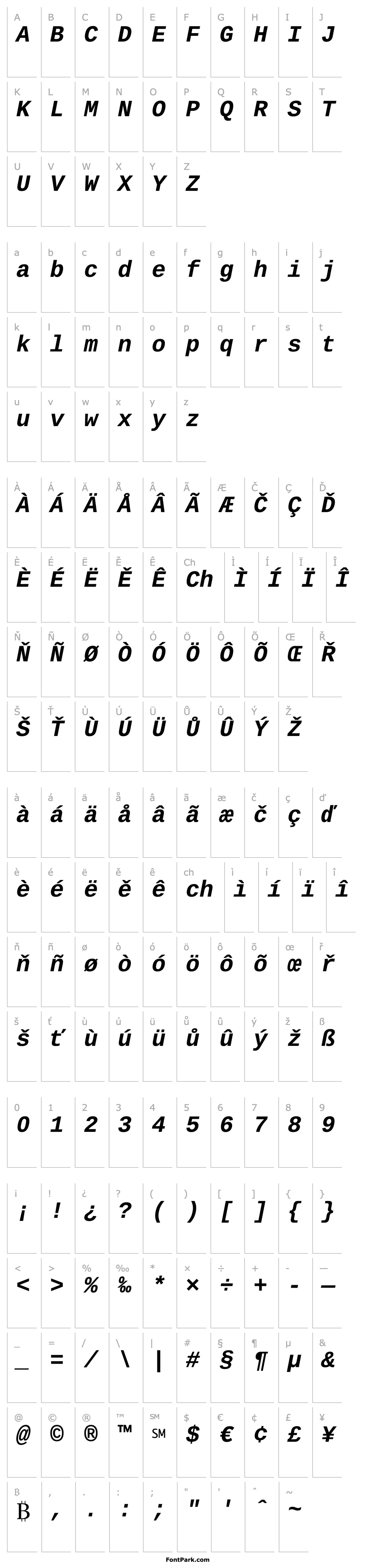 Overview Liberation Mono Bold Italic