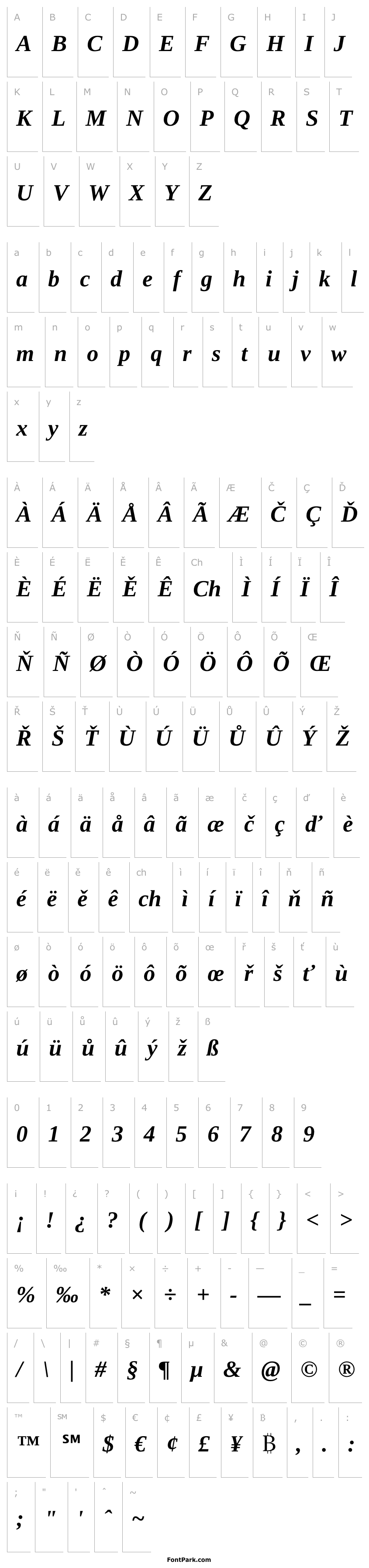 Overview Liberation Serif Bold Italic