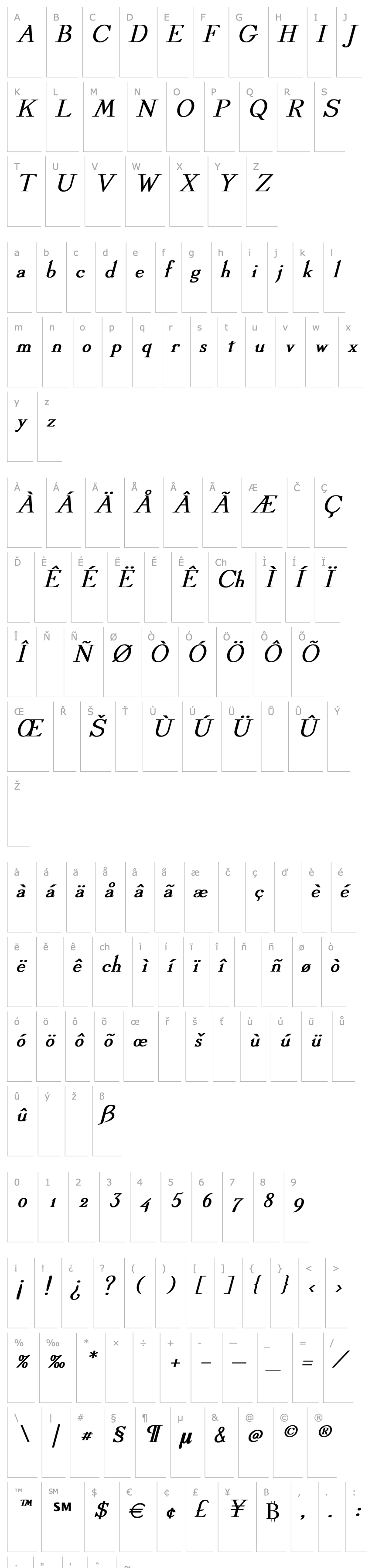 Overview Linden Bold Italic