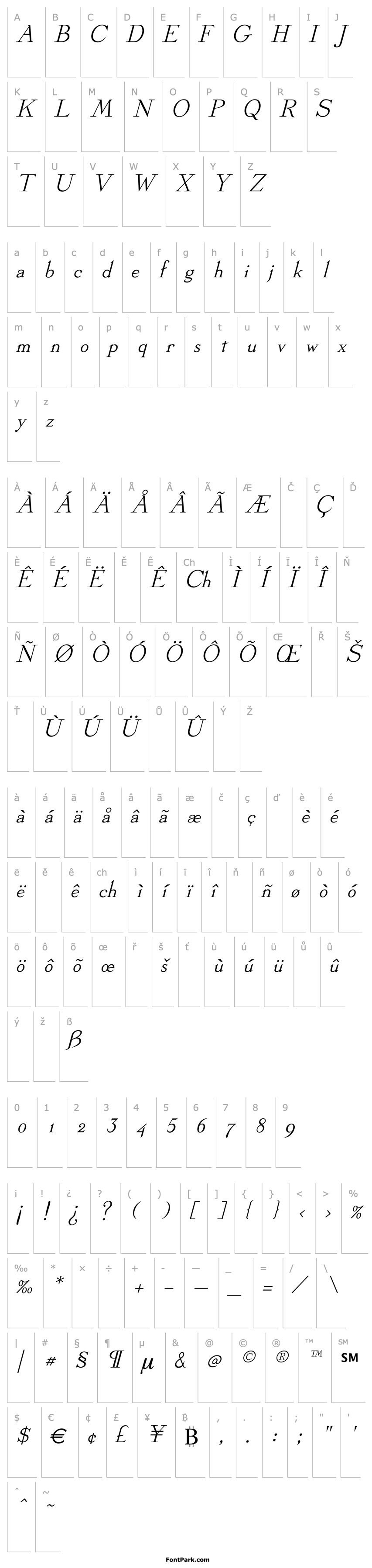 Overview Linden Italic