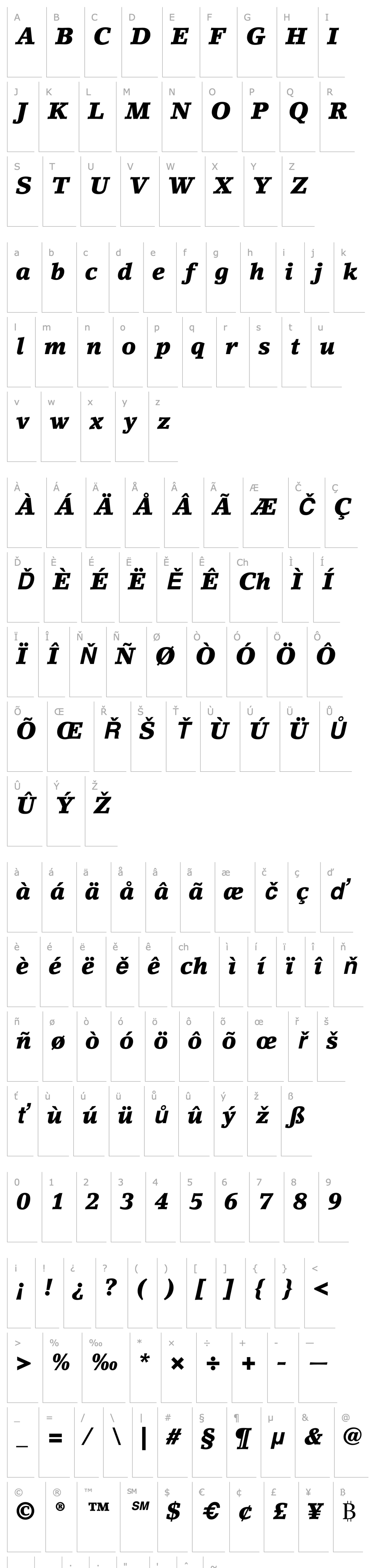 Overview LinoLetter-BlackItalic