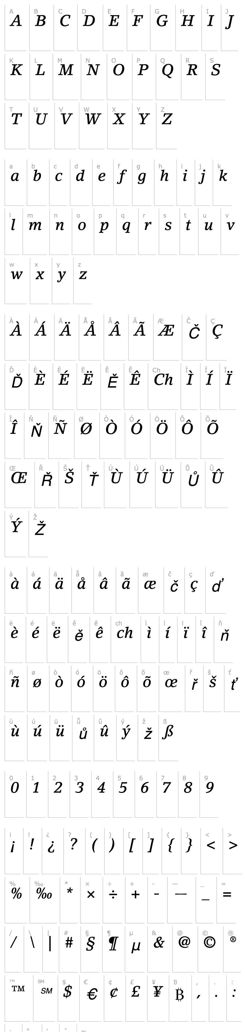 Overview LinoLetter-Medium Italic